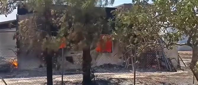 Φωτιά στην Παλαιά Φώκαια: Μάχη με τις φλόγες, διασώσεις και ζημιές σε σπίτια (βίντεο)