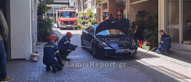 Λαμία: Φίδι βρέθηκε σε μηχανή αυτοκινήτου (βίντεο)