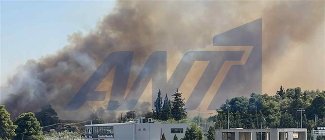 Αντιμέτωπος με κακούργημα ο δημοτικός υπάλληλος, που συνελήφθη για εμπρησμούς στην Παλλήνη
