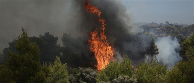 Φωτιές: Χάρτης πρόβλεψης Πυρκαγιών - Υψηλός κίνδυνος σε δέκα περιοχές