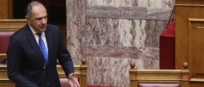Γεραπετρίτης: Τηρούμε στάση αρχής στο Παλαιστινιακό - Σε εξέλιξη ειρηνευτικό σχέδιο για τη Γάζα