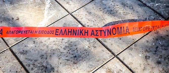 Έγκλημα στην Πέλλα: Στον Εισαγγελέα θα οδηγηθεί ο δράστης - Η ανακοίνωση της αστυνομίας