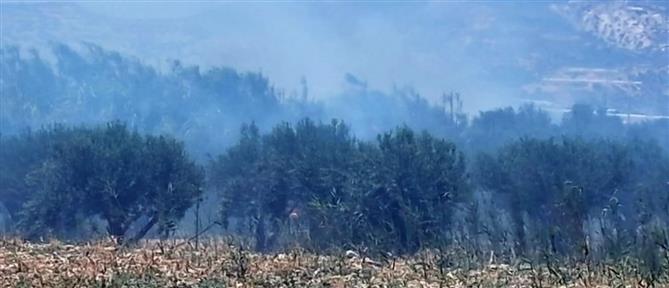 Μεγάλη φωτιά στα Λιβάδια Ιεράπετρας - Σε επιφυλακή η Πυροσβεστική