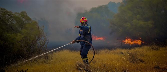 Πυρκαγιά στα Πετράλωνα Μεσσηνίας - Ισχυρές πυροσβεστικές δυνάμεις