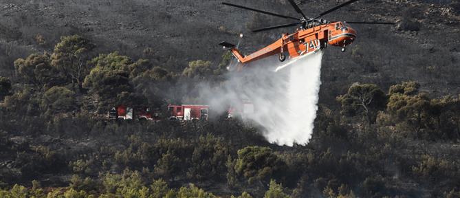 Φωτιά στη Λακωνία: Επιχειρούν επίγεια και εναέρια μέσα