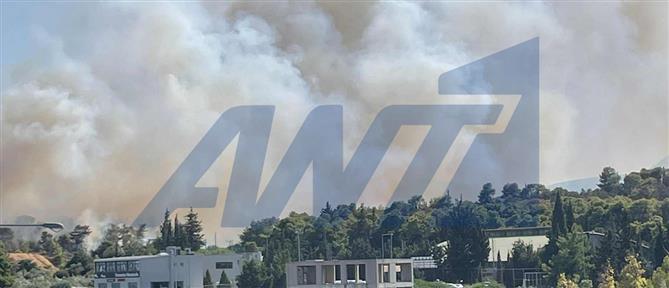 Παλλήνη - Δημοτικός Υπάλληλος: Έβαζα φωτιές, γιατί ήμουν εθισμένος στον τζόγο
