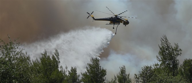 Πυροσβεστική: Συνολικά 27 αγροτοδασικές πυρκαγιές το τελευταίο εικοσιτετράωρο