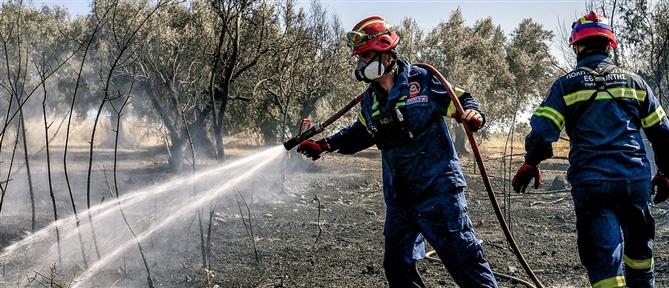 Θεσσαλονίκη: Καλύτερη η εικόνα στις πυρκαγιές σε Βόλβη και Σκύδρα