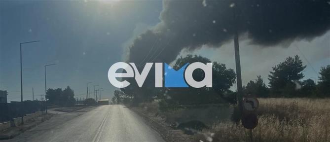 Φωτιά σε εργοστάσιο στη Ριτσώνα: Μήνυμα του 112 για επικίνδυνους καπνούς (βίντεο)