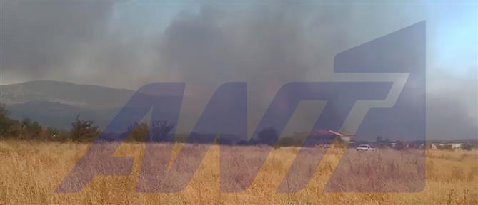 Θεσσαλονίκη: Ενισχύθηκαν οι δυνάμεις στην πυρκαγιά στη Μεγάλη Βόλβη - Ήχησε το 112 (βίντεο)