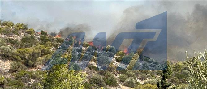Πυρκαγιά στη Κερατέα: Ενισχύθηκαν οι πυροσβεστικές δυνάμεις