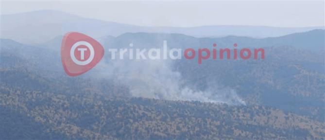 Φωτιά στα Τρίκαλα: Επείγουσα επέμβαση Canadair (εικόνες)