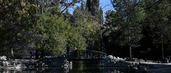 Αθήνα: Κλειστός ο Εθνικός Κήπος λόγω των θυελλωδών ανέμων