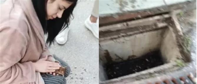 Θεσσαλονίκη: Συγκινητικό βίντεο με 21χρονη να επαναφέρει στη ζωή γατάκι που είχε πέσει σε φρεάτιο