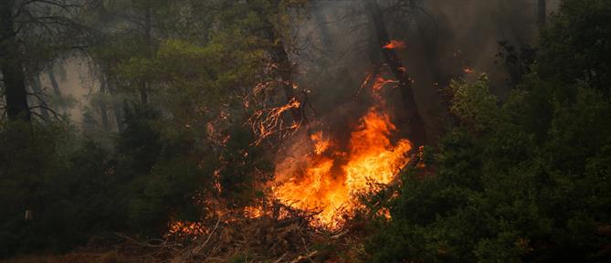 Φωτιές: Χάρτης πρόβλεψης Πυρκαγιών - Πολύ υψηλός κίνδυνος για το Σάββατο