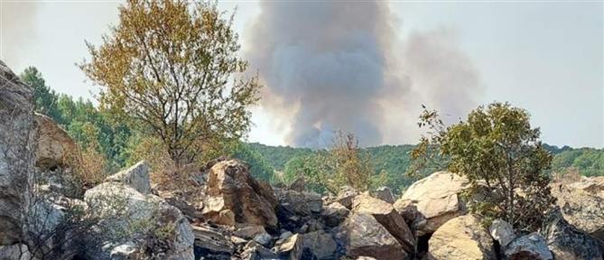 Κοζάνη: Αναζωπυρώθηκε λόγω των ανέμων η φωτιά στα Λιβερά