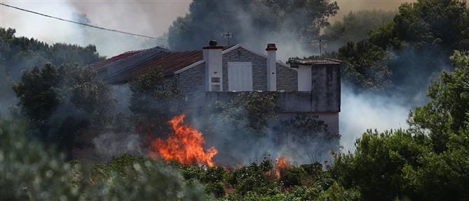 Ραφήνα: Σε ύφεση η φωτιά - Παραμένουν σε επιφυλακή οι πυροσβεστικές δυνάμεις για τυχόν αναζωπυρώσεις