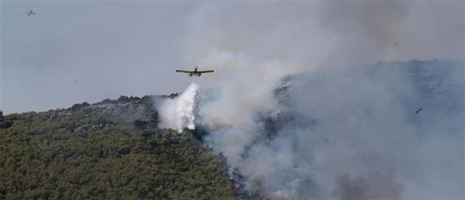 Φωτιά στον Ασπρόπυργο
