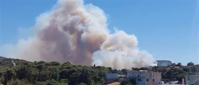 Φωτιά στη Ραφήνα: Ανεξέλεκτες οι φλόγες, μηνύματα 112 και εκκενώσεις