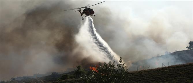 Φωτιά στη Μεσσηνία: Στη “μάχη” και εναέρια μέσα