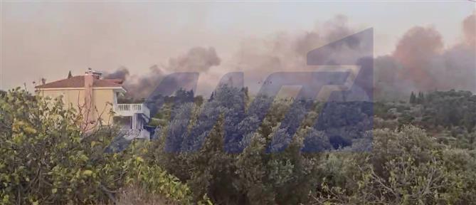 Αχαΐα: Μαίνεται η πυρκαγιά - Εκκένωση στη Βούντενη (βίντεο)