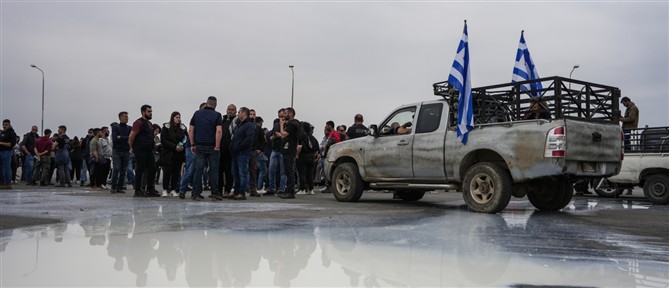 Να σταματήσουν οι σφαγές ολόκληρων των κοπαδιών, ζητούν οι κτηνοτρόφοι της Δυτικής Λέσβου