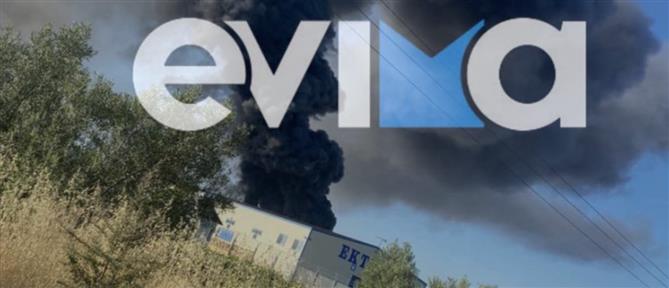 Εύβοια: Μεγάλη φωτιά σε εργοστάσιο πλαστικών στη Ριτσώνα (βίντεο)