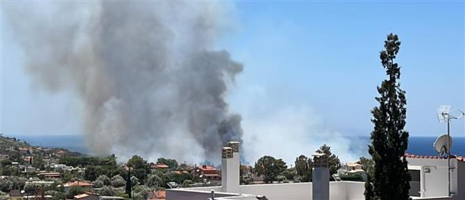 Φωτιά στην Παλαιά Φώκαια: Εναέρια μέσα και μήνυμα 112 για εκκένωση (εικόνες)