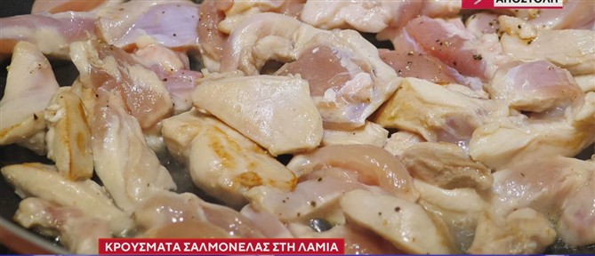 Συναγερμός στις υγειονομικές αρχές, από τα κρούσματα σαλμονέλας στη Λαμία