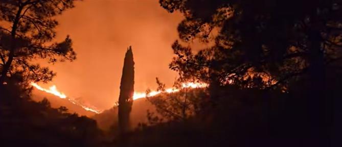 Φωτιά στη Χίο: Φυλάκιση τριών ετών και πρόστιμο 10.000 ευρώ σε οικιακή βοηθό