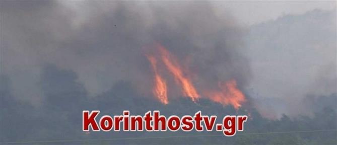 Φωτιά στον Φενεό: Ήχησε το 112 για εκκενώσεις οικισμών (βίντεο)