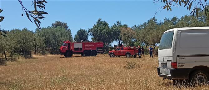 Κρήτη: Φωτιά στα Χανιά - Στάλθηκε μήνυμα απο το 112