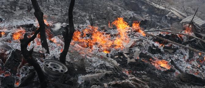 Φωτιά στη Χίο: Νέο μήνυμα 112 για εκκένωση περιοχών - Παραδομένο στις φλόγες το νησί (βίντεο)