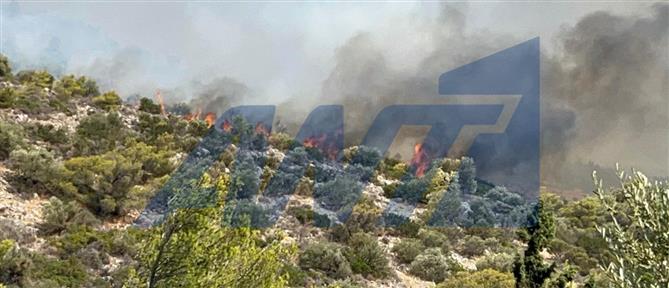 Πυρκαγιά - Κερατέα: Διάσωση κατοίκων από αστυνομικούς (βίντεο)