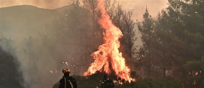 Πυρκαγιά στα Σταμνά Αιτωλοακαρνανίας - 112 για απομάκρυνση προς Μεσολόγγι