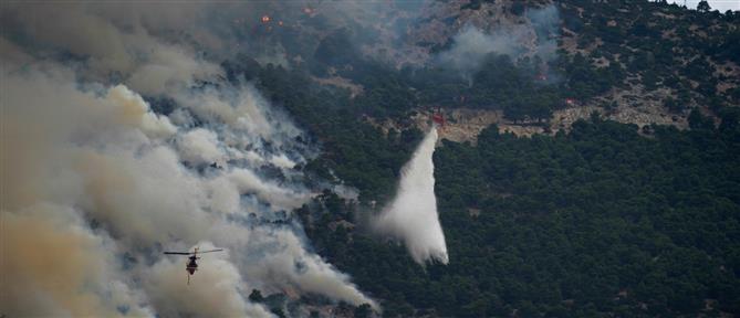 Φωτιά στην Πρέβεζα: Εναέρια μέσα και μήνυμα από το 112