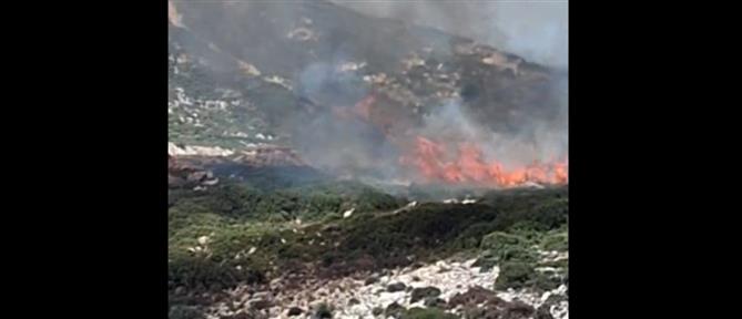 Νάξος: Μαίνεται η δασική πυρκαγιά – Ενισχύονται οι δυνάμεις