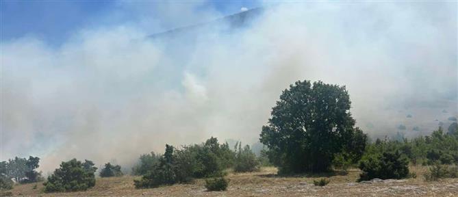 Κοζάνη: Φωτιά σε χορτολιβαδική έκταση στο Δρέπανο - Ενεργοποιήθηκε το 112 (βίντεο)