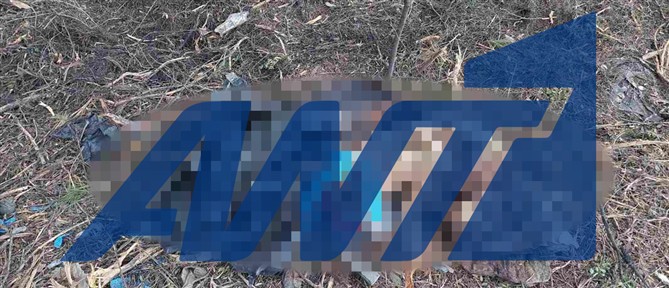 Χαλκιδική: Εντοπίστηκαν ανθρώπινα μέλη κατά τη διάρκεια εργασιών