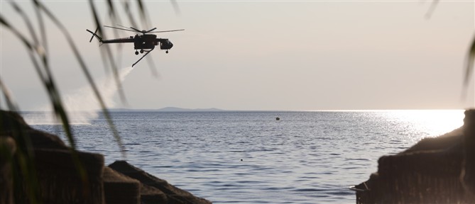 Πυρκαγιά σε χαμηλή βλάστηση στο Διμηνιό Κορινθίας - Επιχειρεί και ένα ελικόπτερο