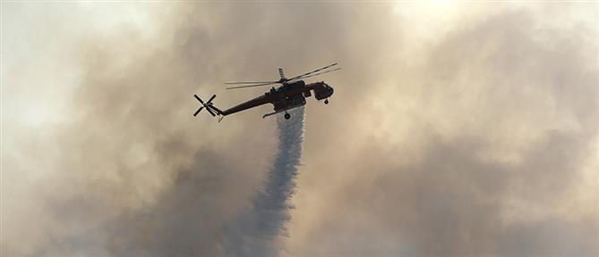 Φωτιά στην Χαλκιδική: Συνεχίζεται η μάχη με τις φλόγες στην Βουρβουρού
