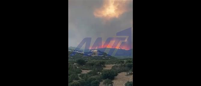 Θεσσαλονίκη: Η φωτιά στην Άσσηρο έφθασε στην παλιά εθνική οδό (βίντεο)