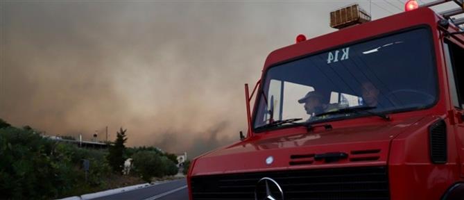 Φωτιά στην Ιεράπετρα – τελευταία εξέλιξη: Ενισχύθηκαν οι δυνάμεις που επιχειρούν