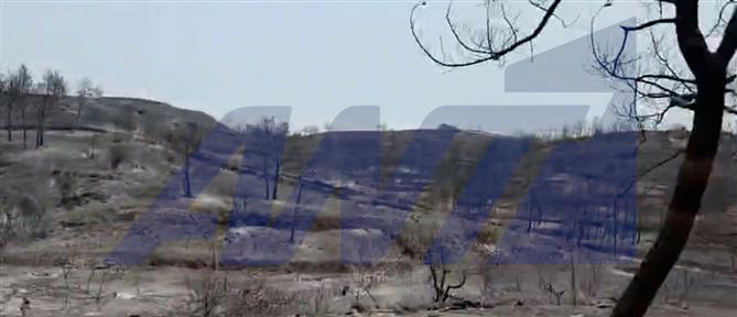 Βελτιωμένη εικόνα στα μέτωπα των πυρκαγιών Αχαΐα, Πρέβεζα, Χίο και Ζάκυνθο