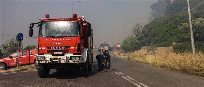 Εύβοια: Φωτιά σε δασική έκταση στα Μεσοχώρια