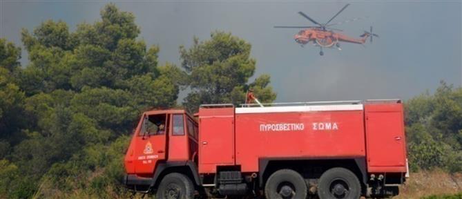 Μάνδρα Αττικής: Φωτιά σε χώρο επιχείρησης