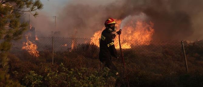 Θεσσαλονίκη: Ολονύχτια μάχη με τις φλόγες