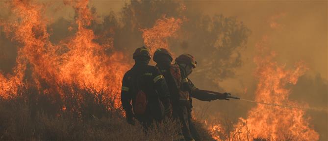 Ιεράπετρα: Υπό ύφεση η πυρκαγιά