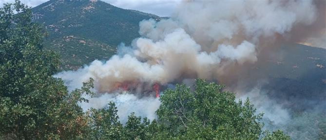 Γρεβενά:  Φωτιά σε δασική περιοχή της Δεσκάτης - Εκκένωση καταφυγίου με 55 παιδιά