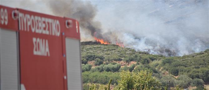Φωτιά στη Λάρισα: Δύο πυροσβέστες με εγκαύματα - Κάηκε πυροσβεστικό όχημα